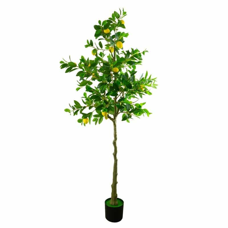 Kunst Zitronenbaum 180 cm, Kunst Zitronenbaum 180 cm